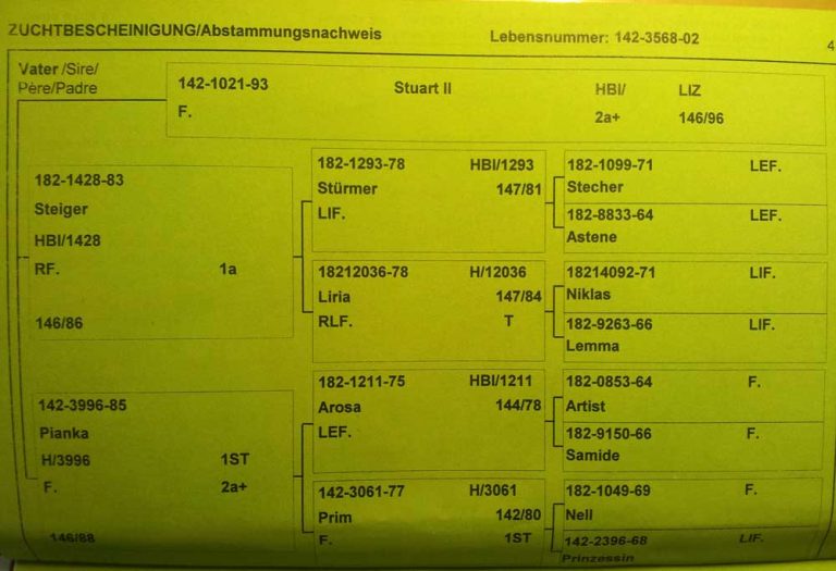 Stammbaum von Larissas Vater