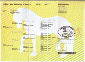 Stammbaumurkunde von Friesen Wapiti